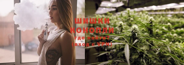 стаф Няндома