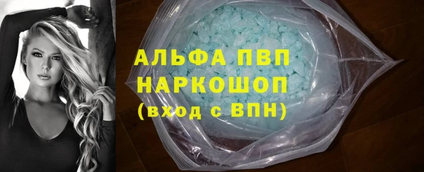 шишки Новозыбков