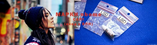 шишки Новозыбков