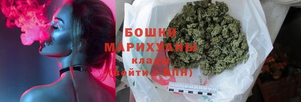 шишки Новозыбков