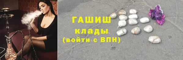 шишки Новозыбков
