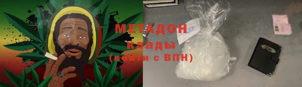 шишки Новозыбков