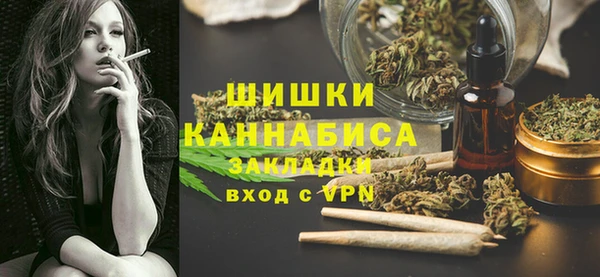 шишки Новозыбков