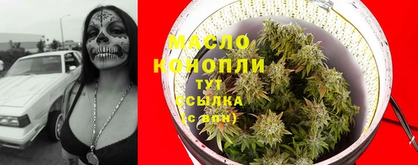 стаф Няндома