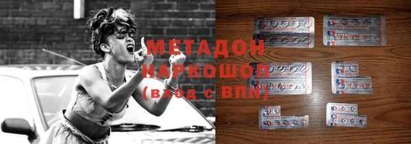 шишки Новозыбков