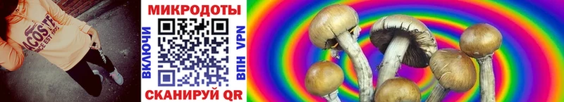 Псилоцибиновые грибы мухоморы  Купить  Новый Уренгой 